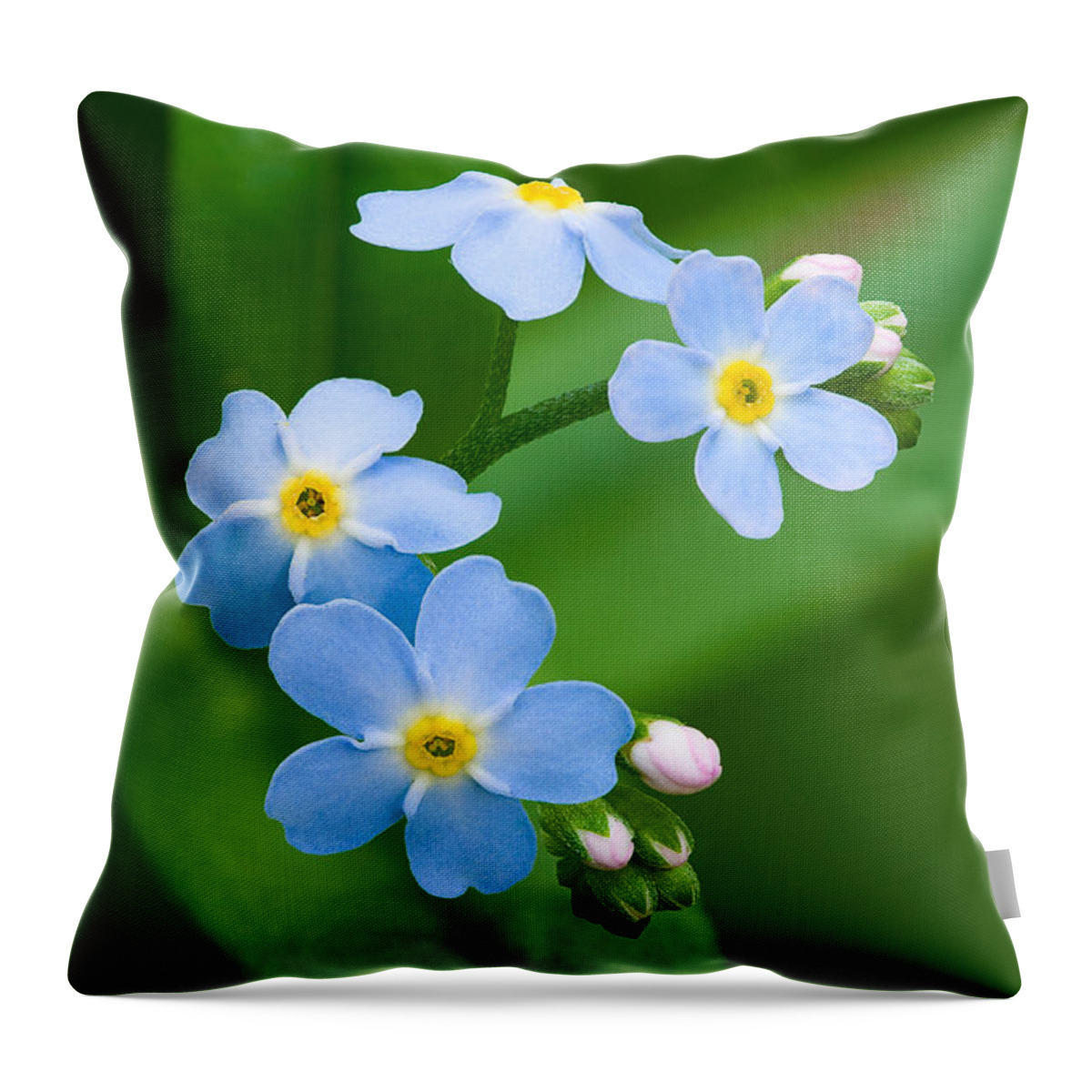Forget-me-not Throw Pillow featuring the photograph Forget-Me-Not #1 by Yuri Peress