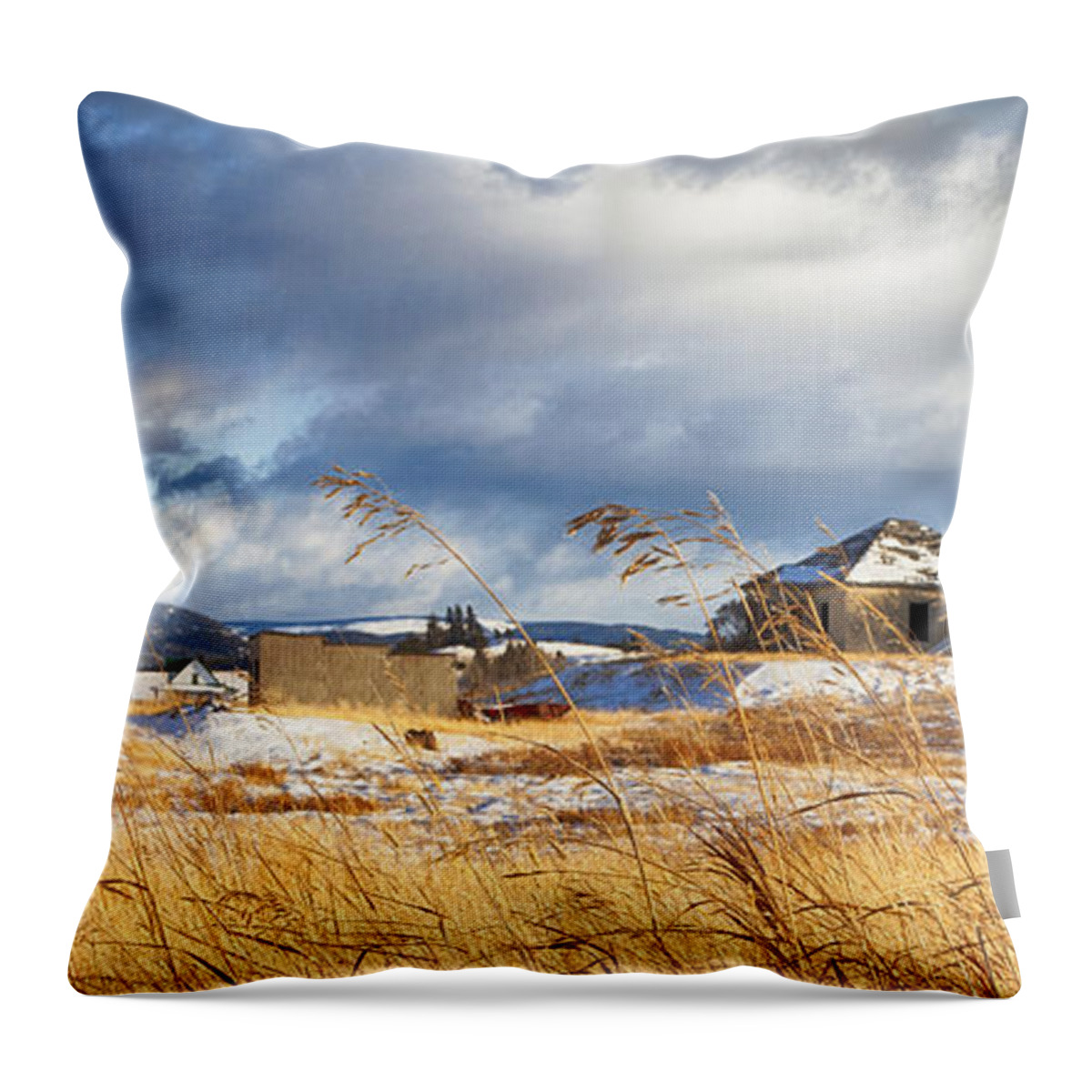 Theresa Tahara Throw Pillow featuring the photograph Forgotten Farmhouse by Theresa Tahara