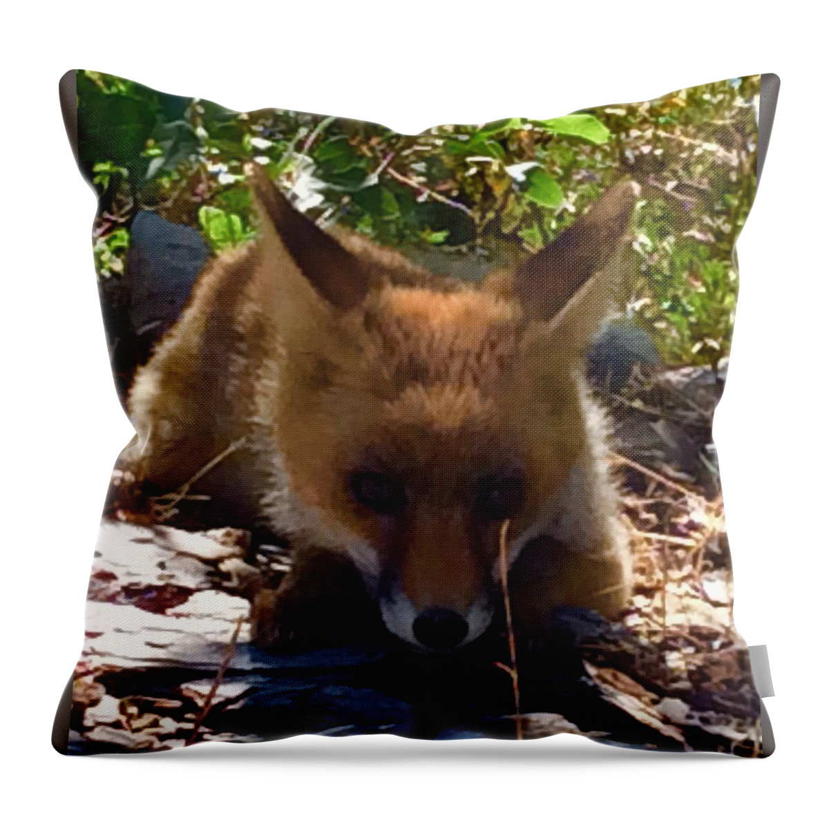Colette Throw Pillow featuring the photograph Fox Joy #2 by Colette V Hera Guggenheim