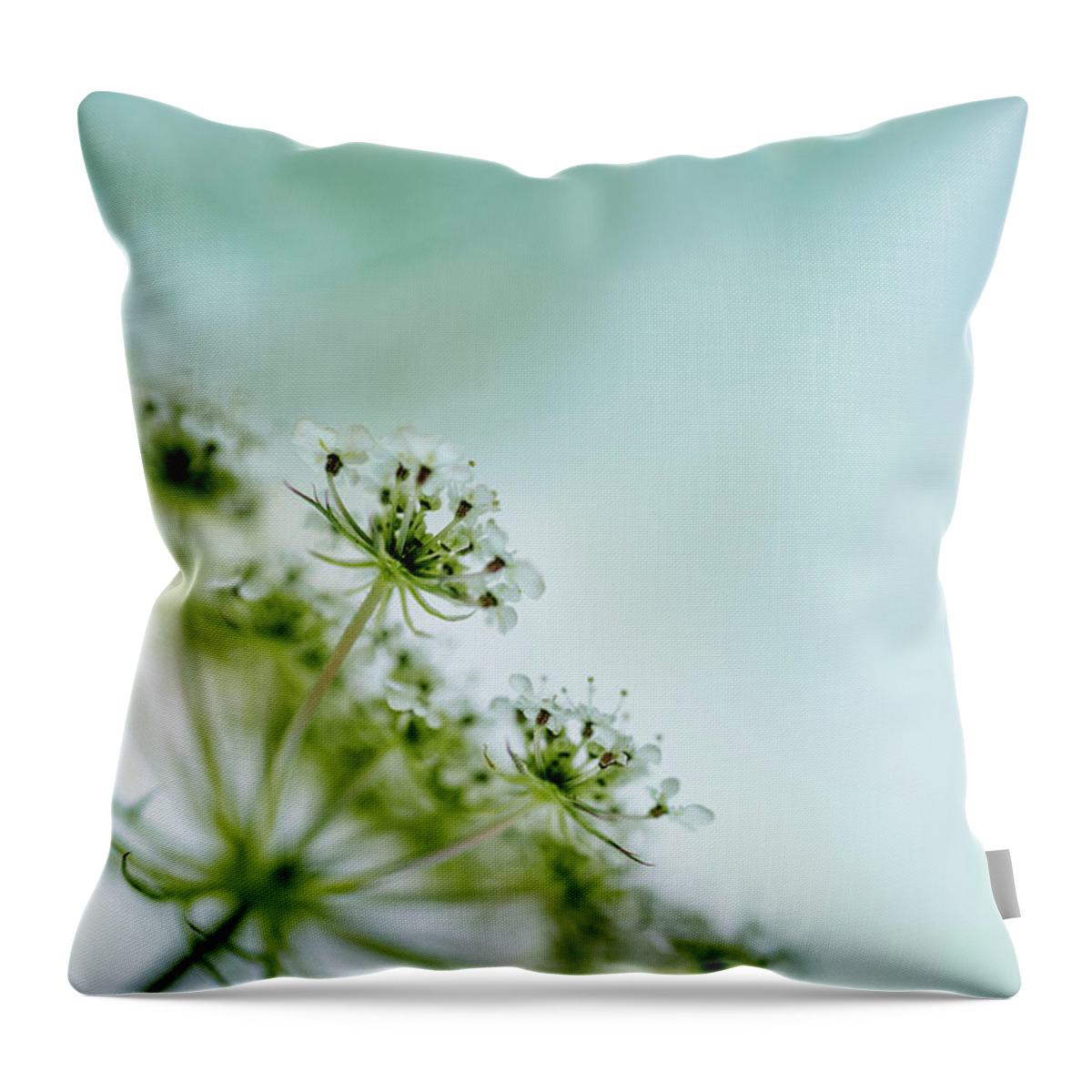 Umbel Throw Pillow featuring the photograph Fragile #1 by Nailia Schwarz
