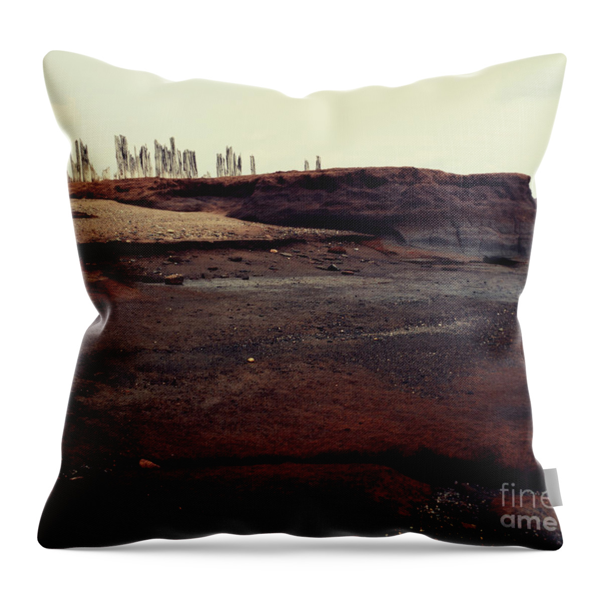 Landscape Throw Pillow featuring the photograph From the Sea by RicharD Murphy