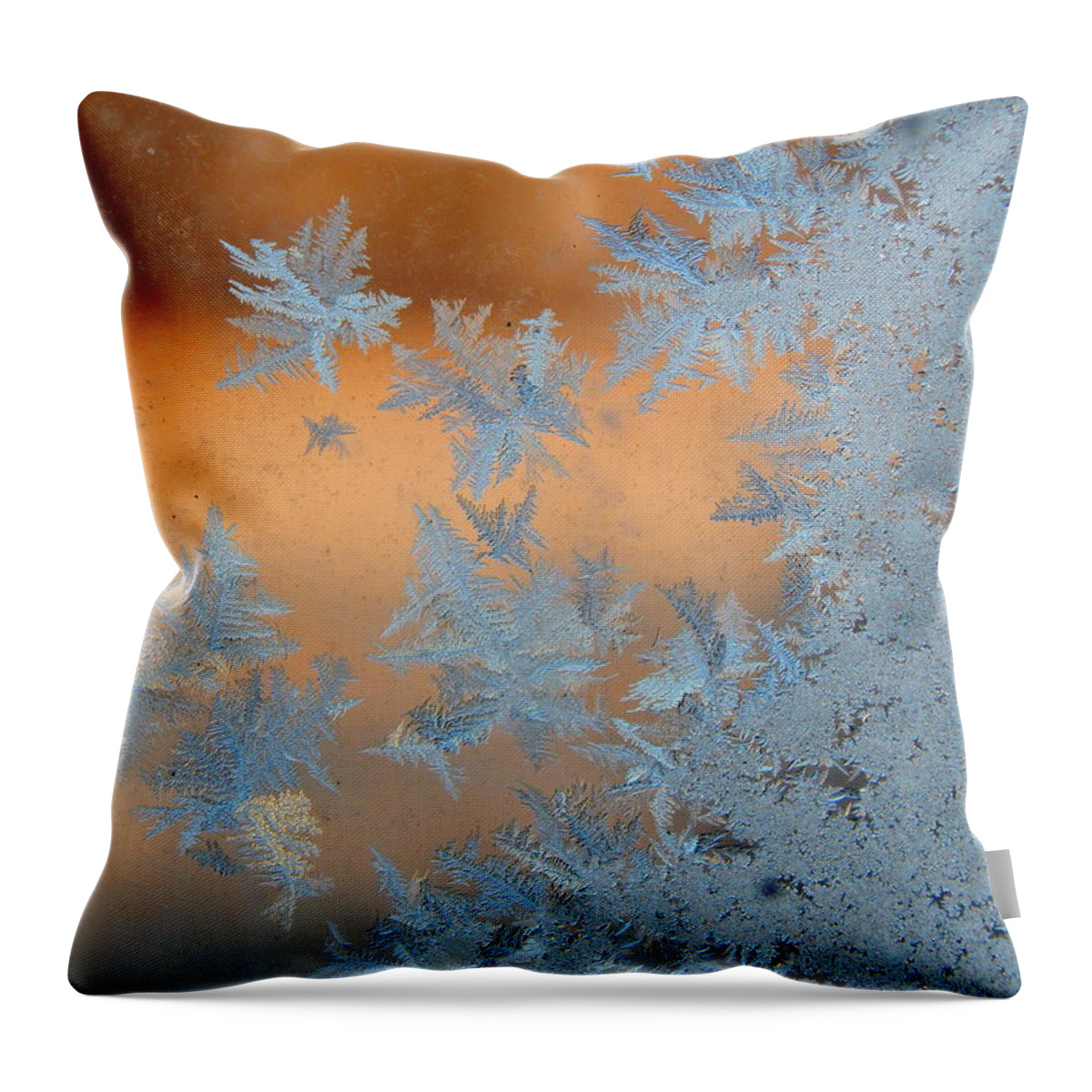 Frost Throw Pillow featuring the photograph Frost #1 by Virginia White