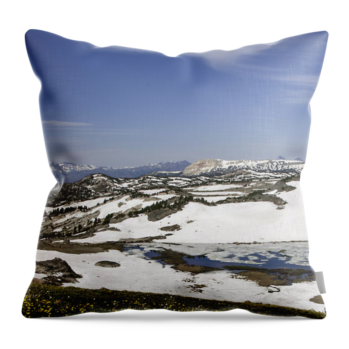 Frozen Lake Throw Pillow featuring the photograph Frozen Lake Beartooth Highway #1 by Gary Beeler