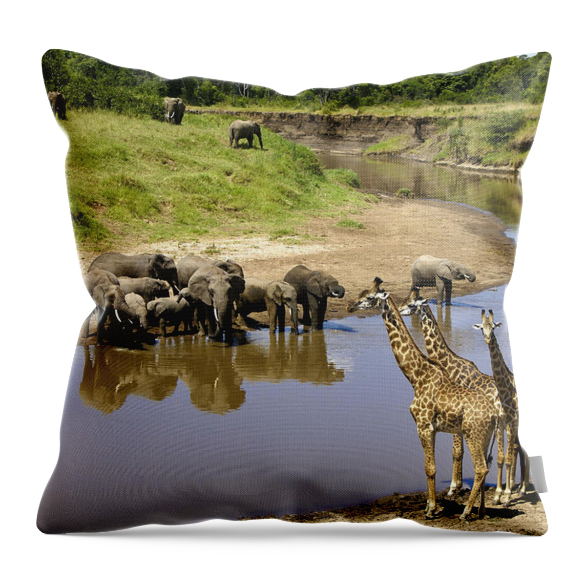 Africa Throw Pillow featuring the photograph Garden of Eden by Michele Burgess