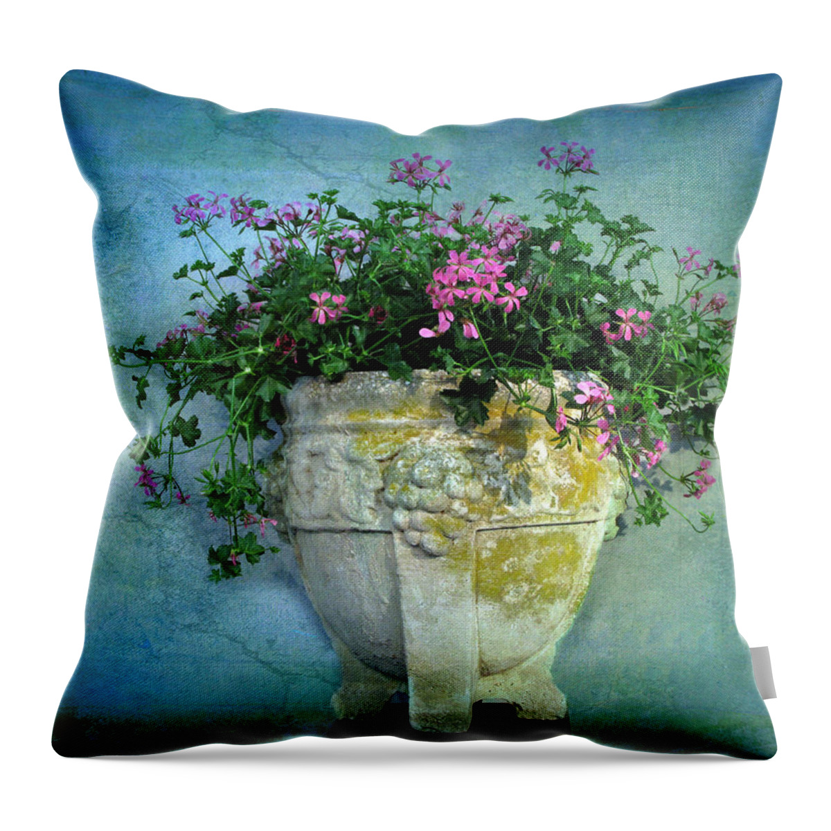Planter Throw Pillow featuring the photograph Garden Planter #2 by Jessica Jenney