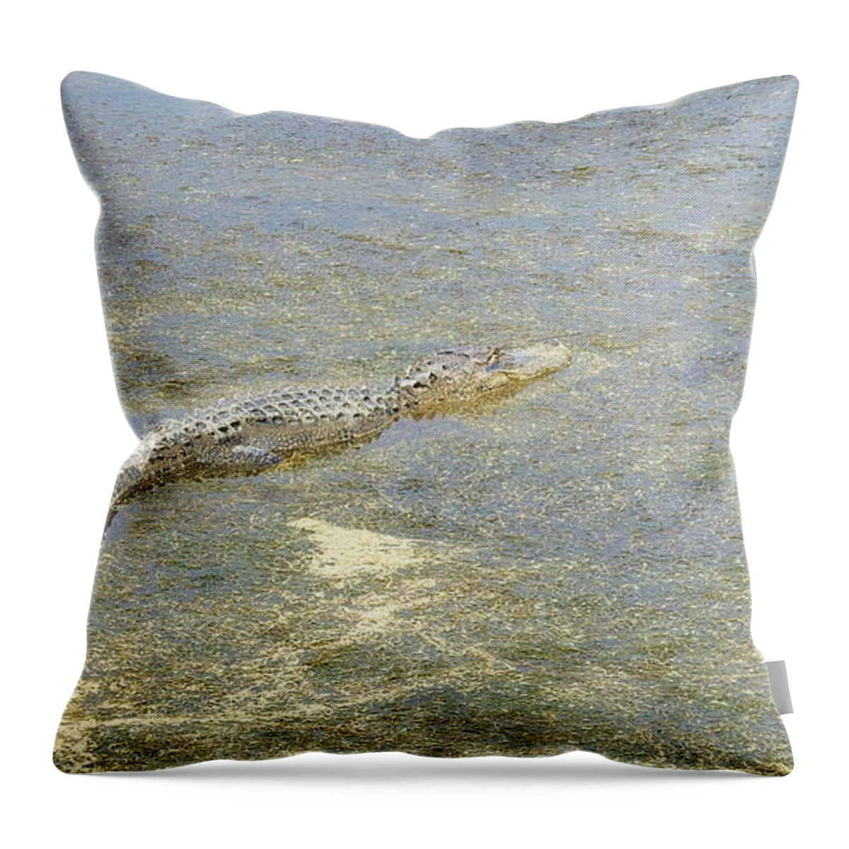 Gator Throw Pillow featuring the photograph Gator #1 by Cathy Harper