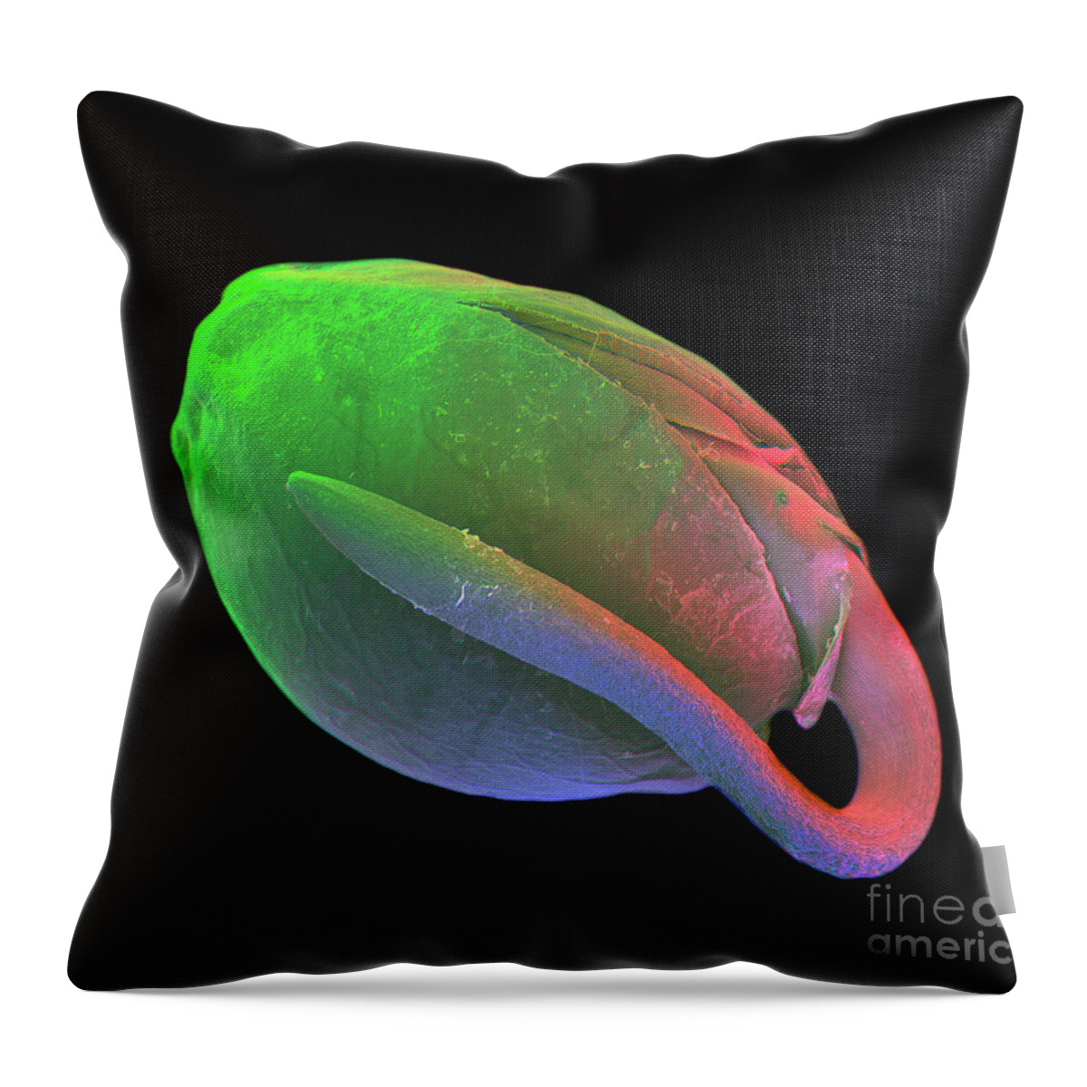 Epromo04172018a Throw Pillow featuring the photograph Germinating Marijuana Seed #2 by Ted Kinsman