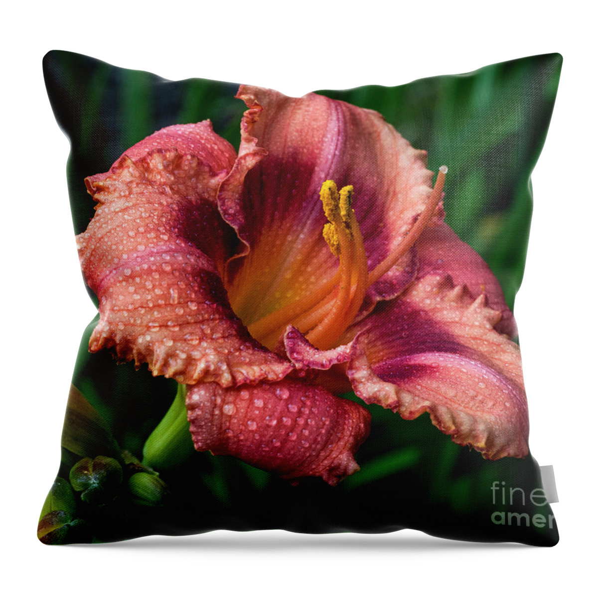 Lily Throw Pillow featuring the photograph Glowing #2 by Doug Norkum