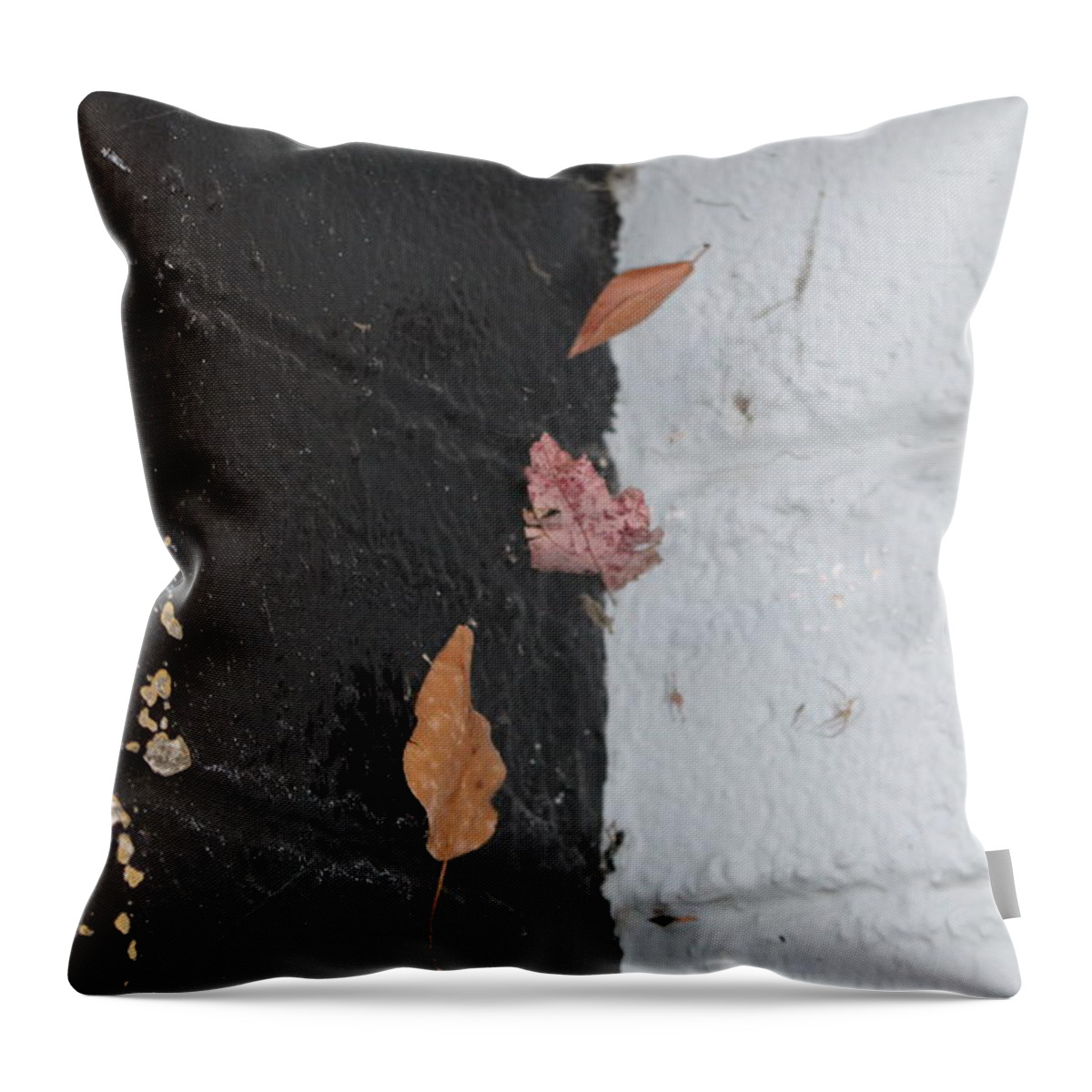 Fast Throw Pillow featuring the photograph Going nowhere fast #1 by Marie Neder