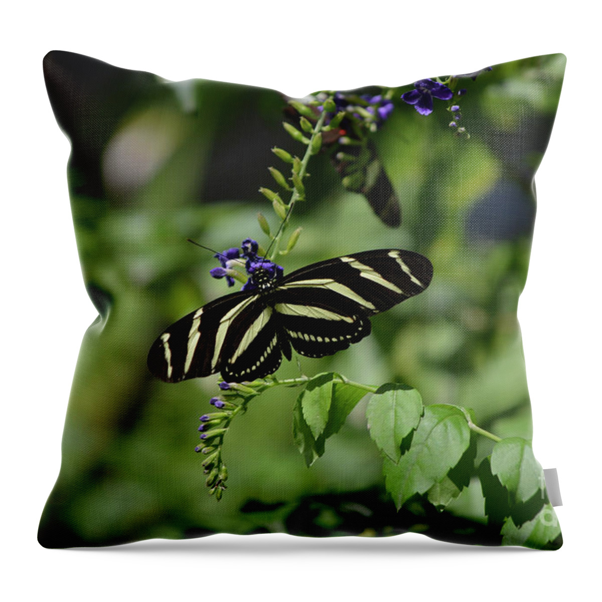 Zebra-butterfly Throw Pillow featuring the photograph Gorgeous Zebra Butterfly on Some Blue Flowers #1 by DejaVu Designs