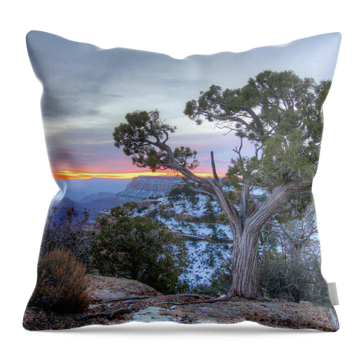 Grand Canyon Throw Pillow featuring the photograph Grand Canyon #1 by Greg Smith