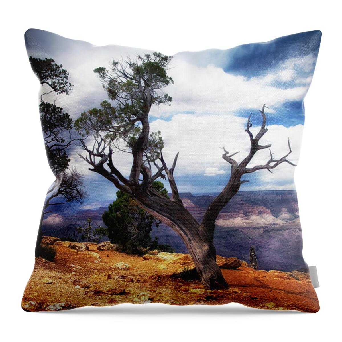 Grand Canyon Throw Pillow featuring the photograph Grand Canyon #1 by James Bethanis