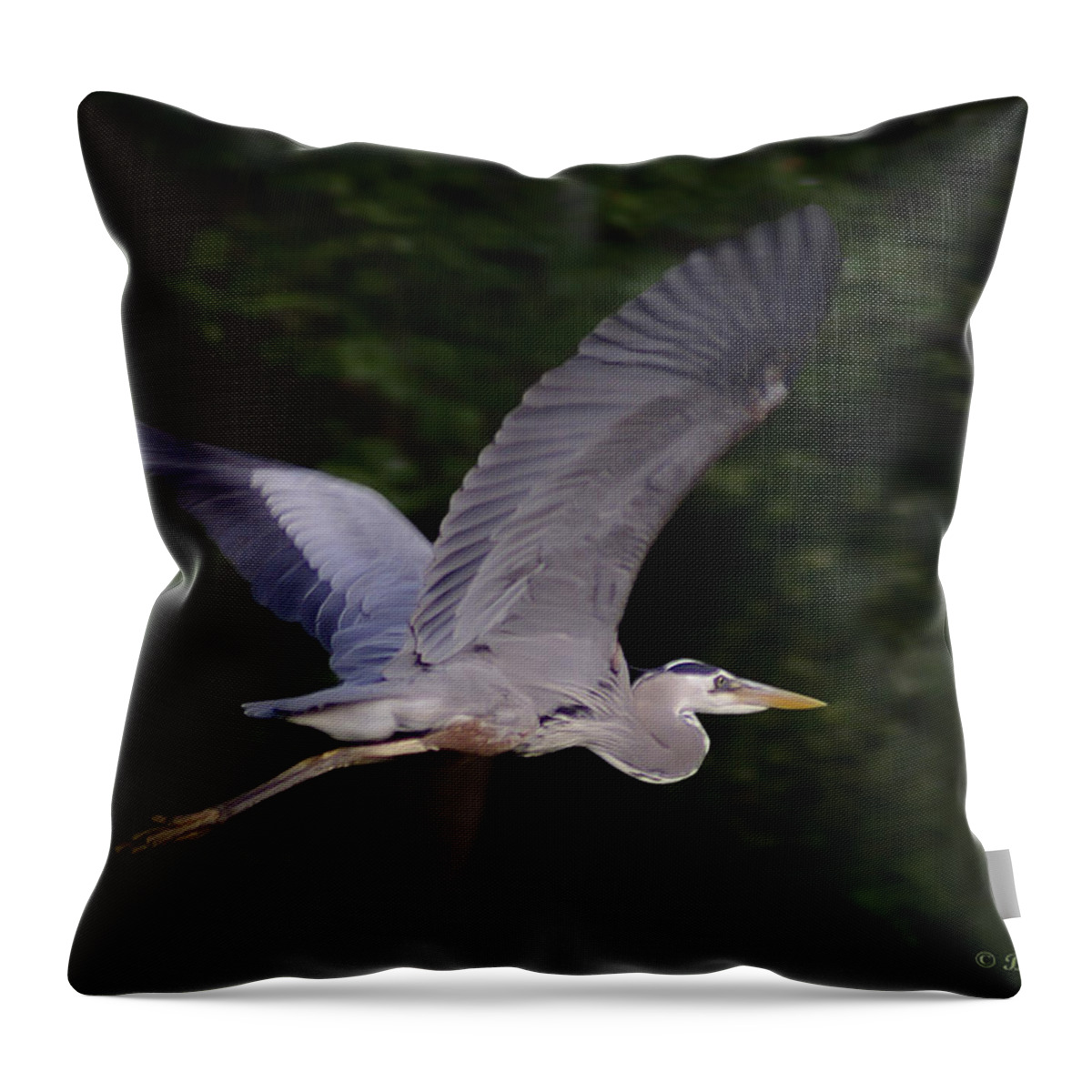 2d Throw Pillow featuring the photograph Great Blue Heron In Flight #1 by Brian Wallace