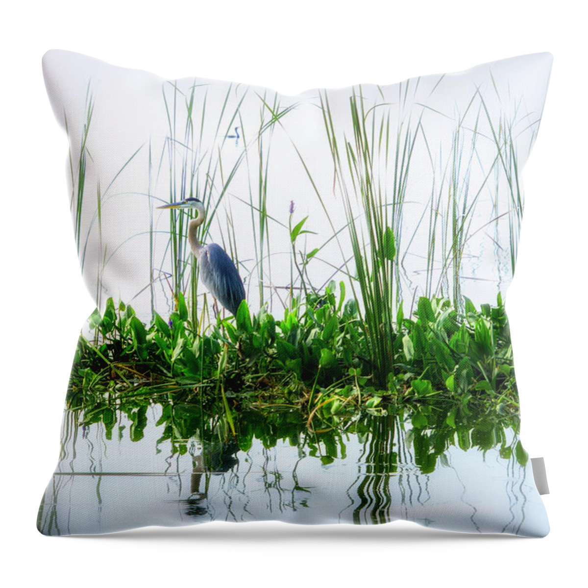 Crystal Yingling Throw Pillow featuring the photograph Great Blue on Green Island #1 by Ghostwinds Photography