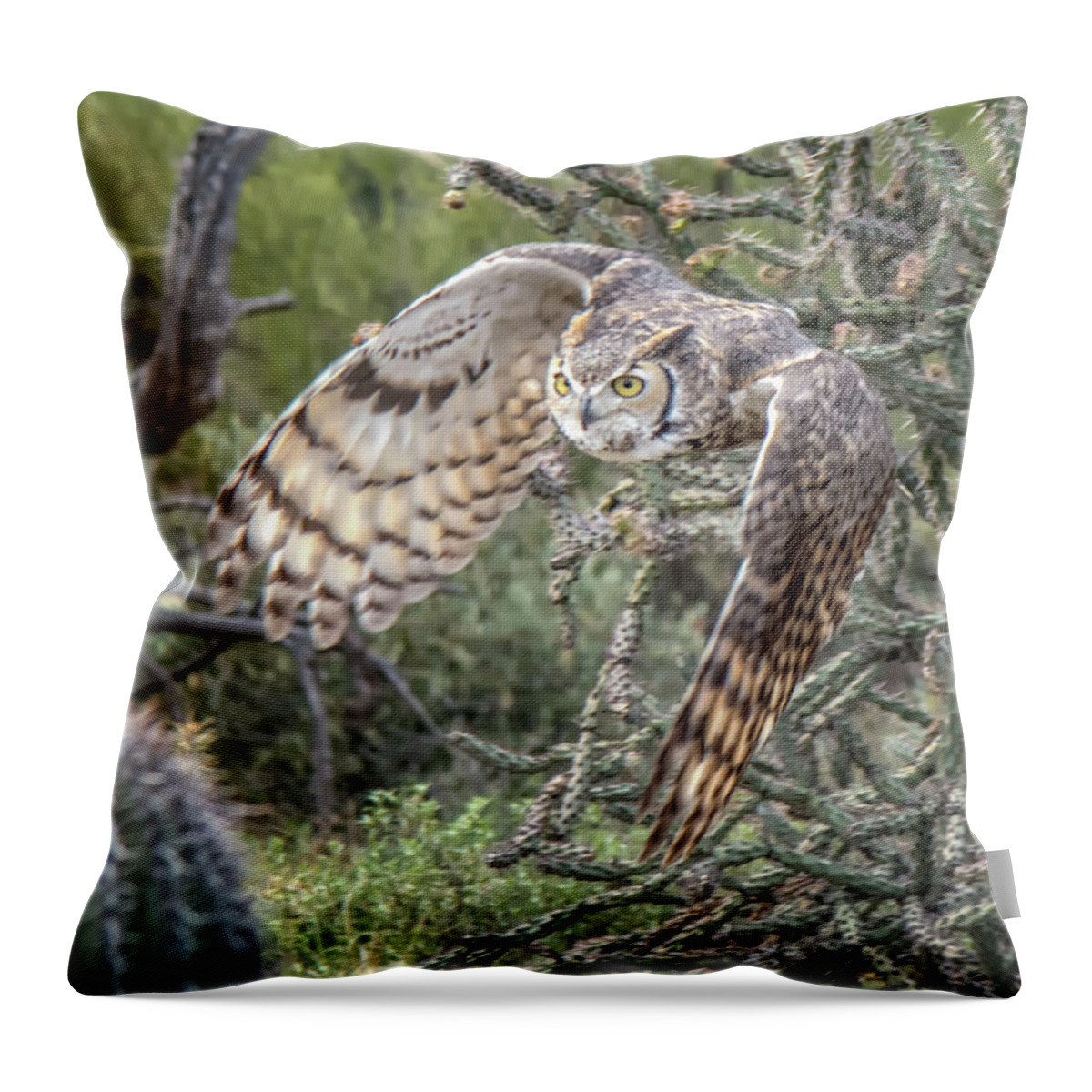 Great Throw Pillow featuring the photograph Great Horned Owl #1 by Tam Ryan