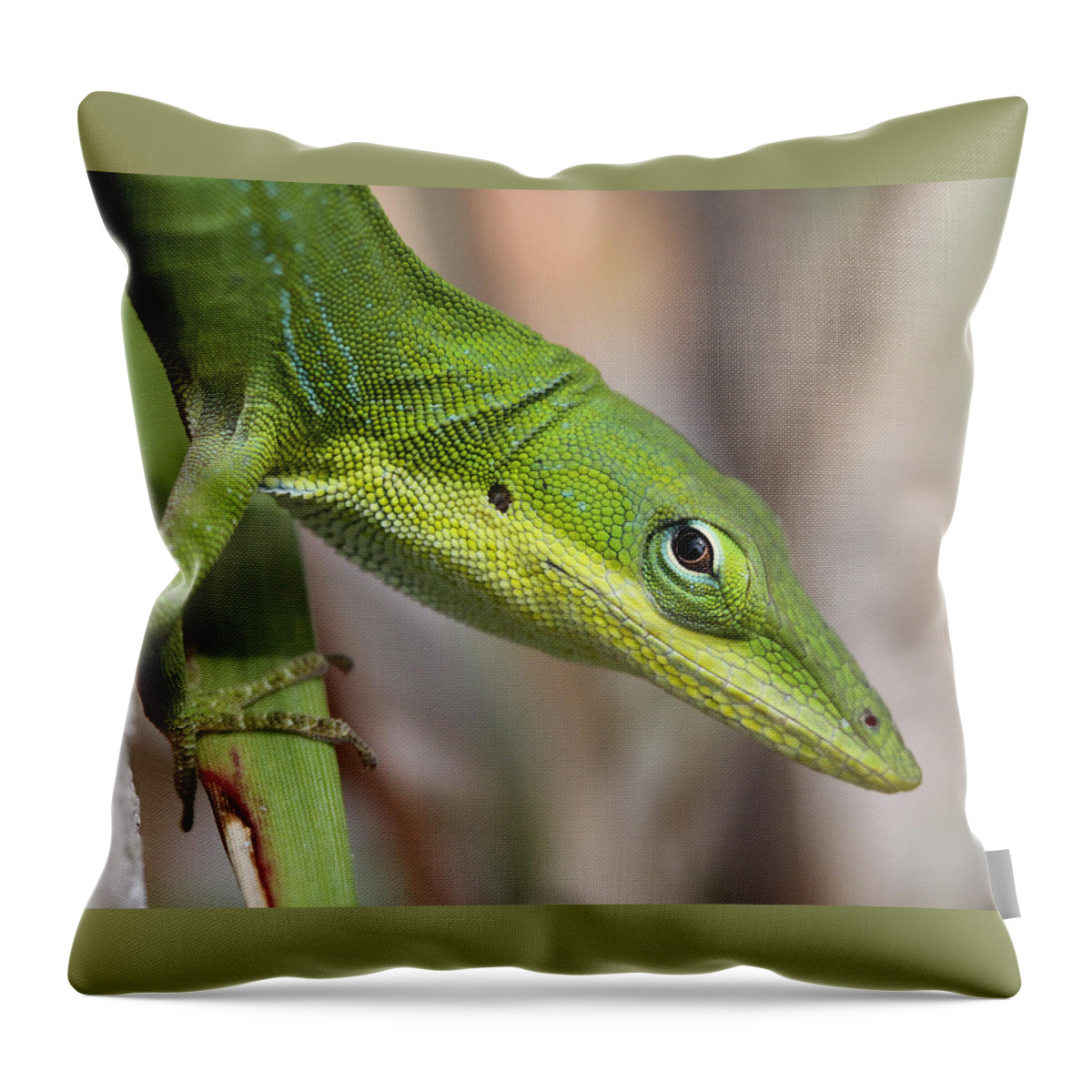 Green Anole Throw Pillow featuring the photograph Green Beauty #1 by Doris Potter