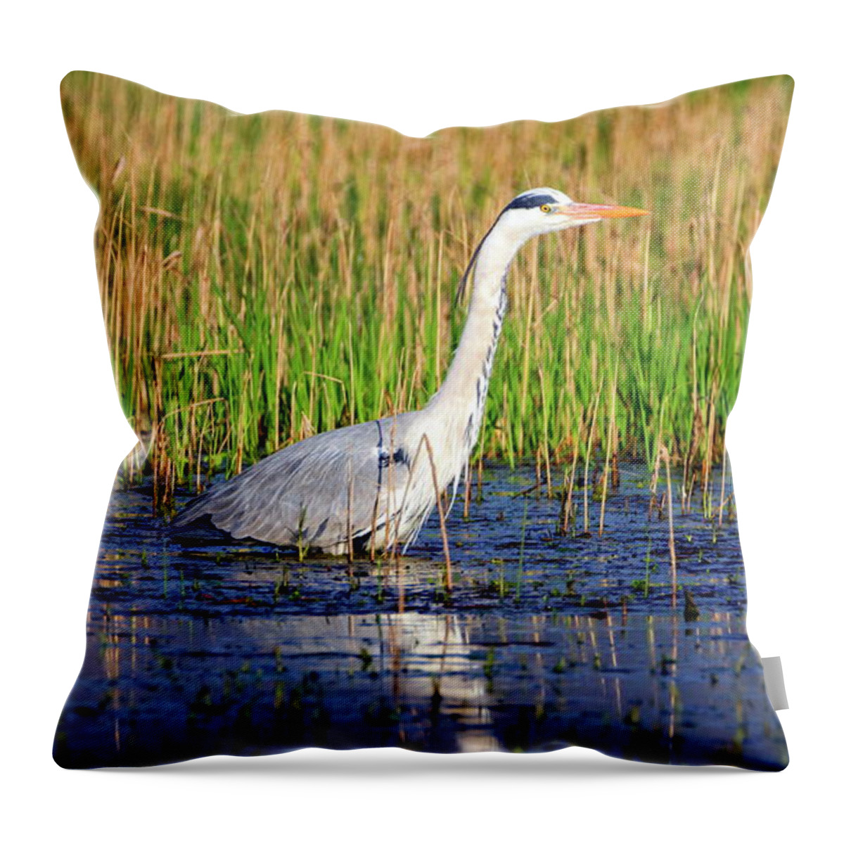 Heron Throw Pillow featuring the photograph Grey heron, ardea cinerea, in a pond #1 by Elenarts - Elena Duvernay photo