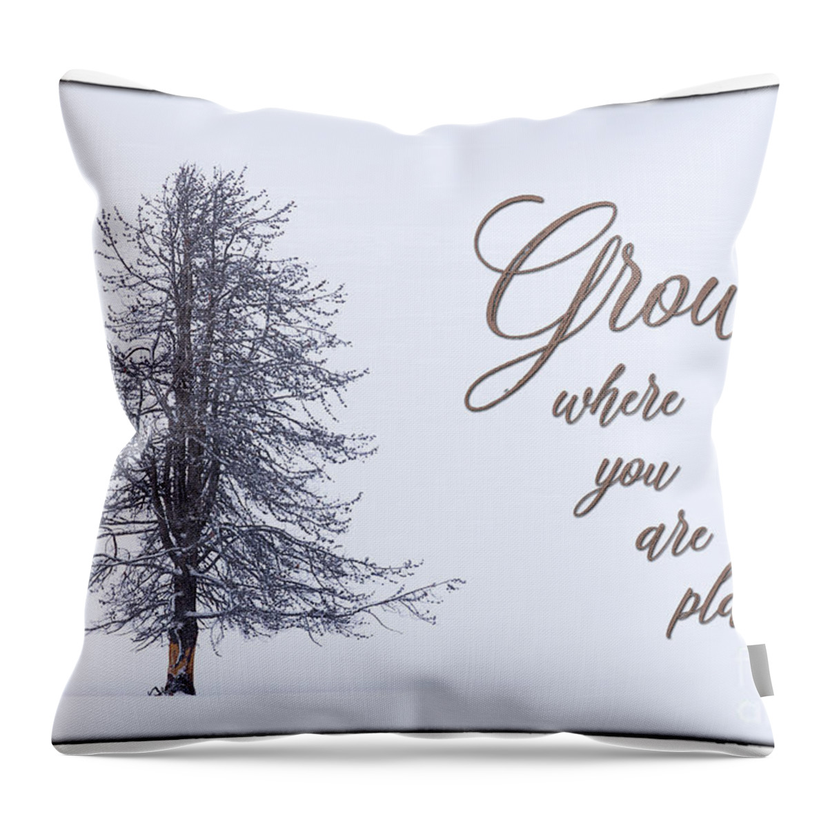 Grow Where You Are Planted Throw Pillow featuring the photograph Grow Where You Are Planted #1 by Priscilla Burgers