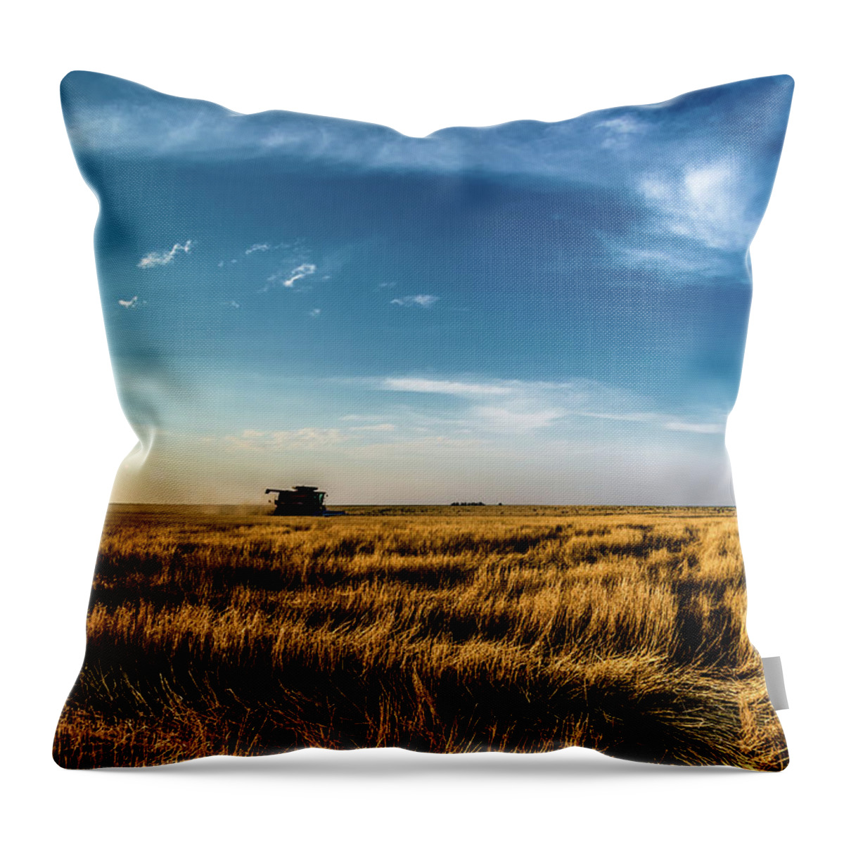 Jay Stockhaus Throw Pillow featuring the photograph Harvest #1 by Jay Stockhaus