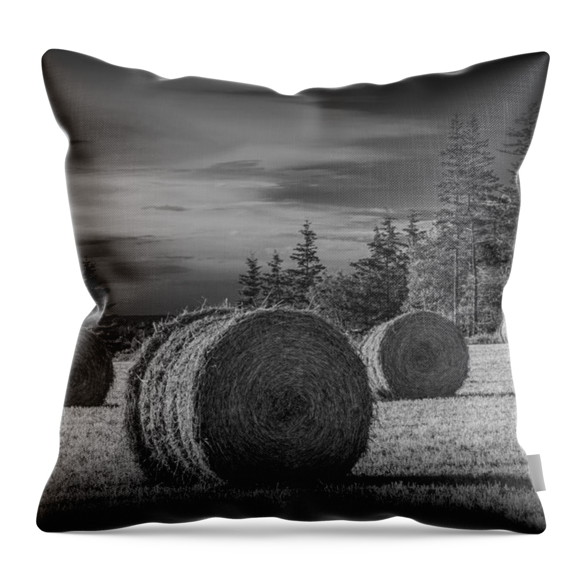 Art Throw Pillow featuring the photograph Hay Bales on Prince Edward Island #1 by Randall Nyhof