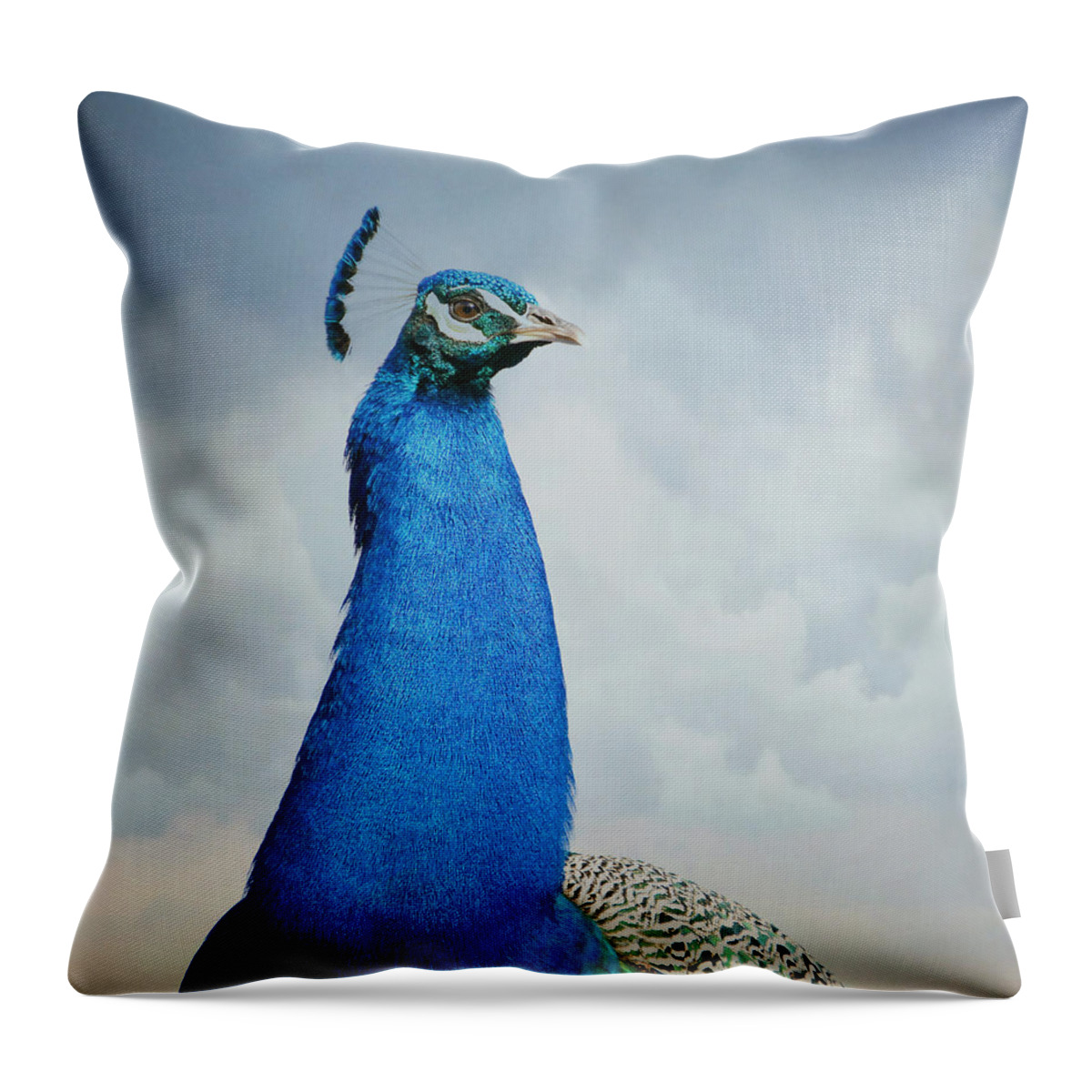 Indian Peacock Throw Pillow featuring the photograph Head In The Clouds #1 by Fraida Gutovich