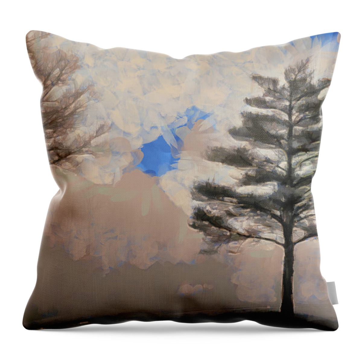 Clouds Throw Pillow featuring the mixed media Hickory #1 by Trish Tritz
