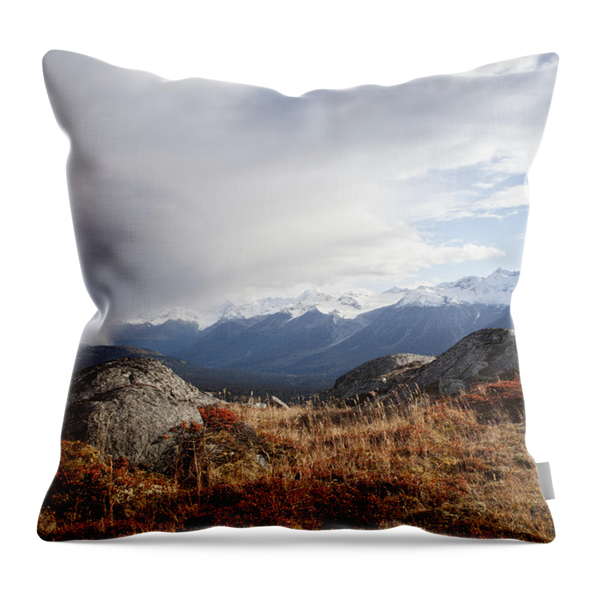 British Columbia Throw Pillow featuring the photograph High Country in Fall #1 by Michele Cornelius