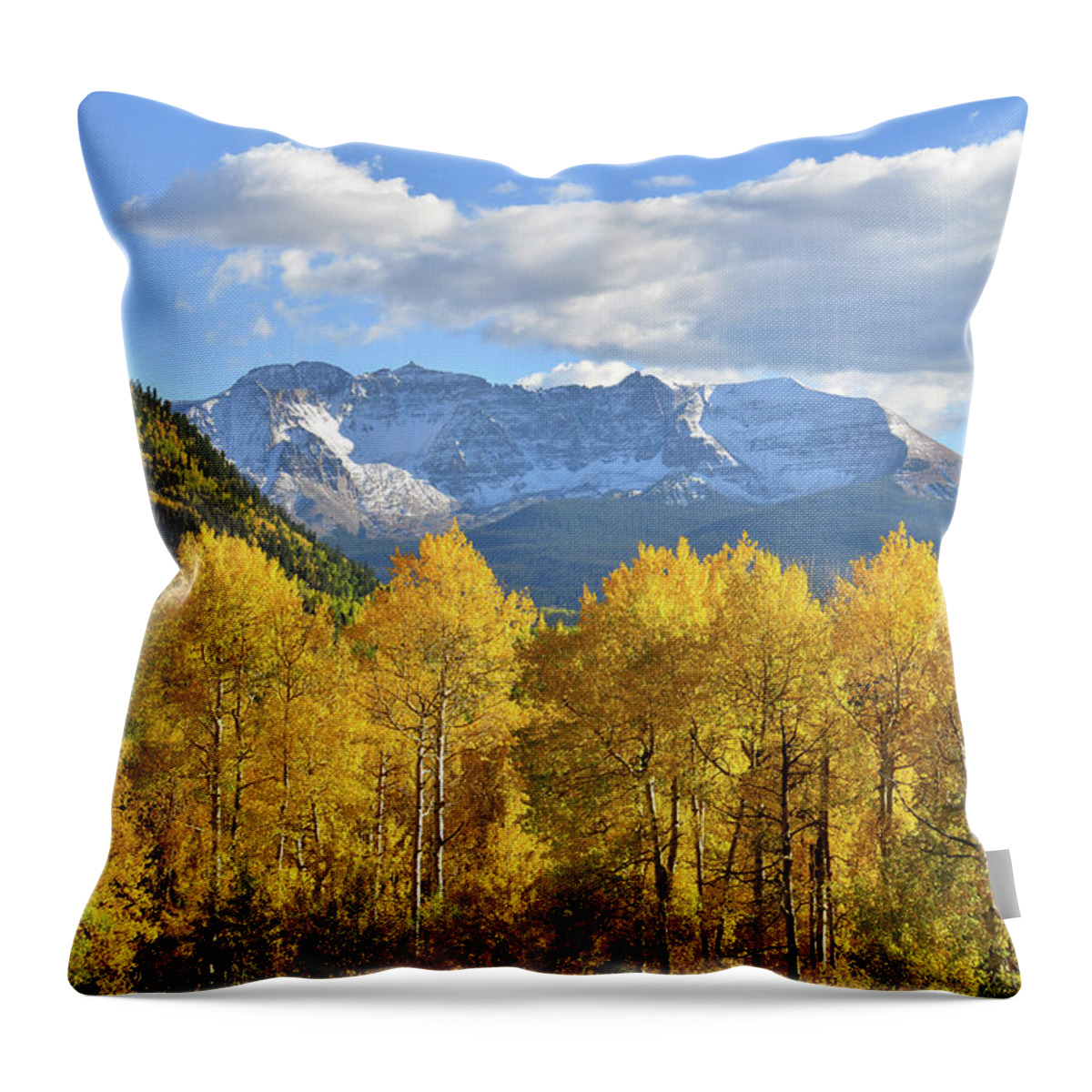Colorado Throw Pillow featuring the photograph Highway 145 Colorado #2 by Ray Mathis