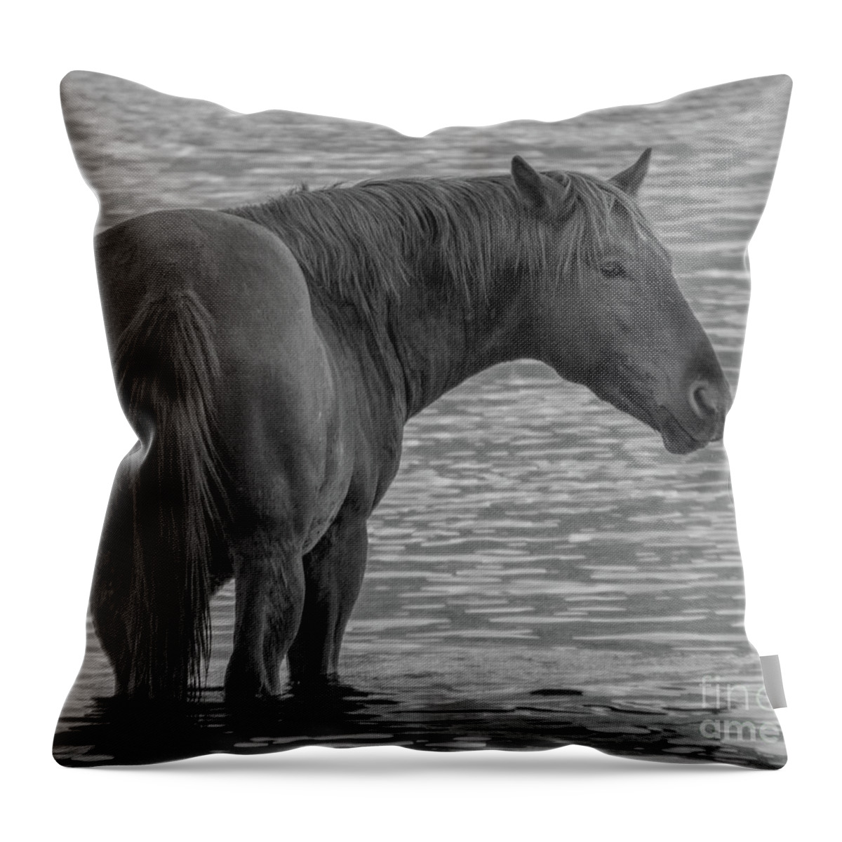 Horse Throw Pillow featuring the photograph Horse 10 by Christy Garavetto