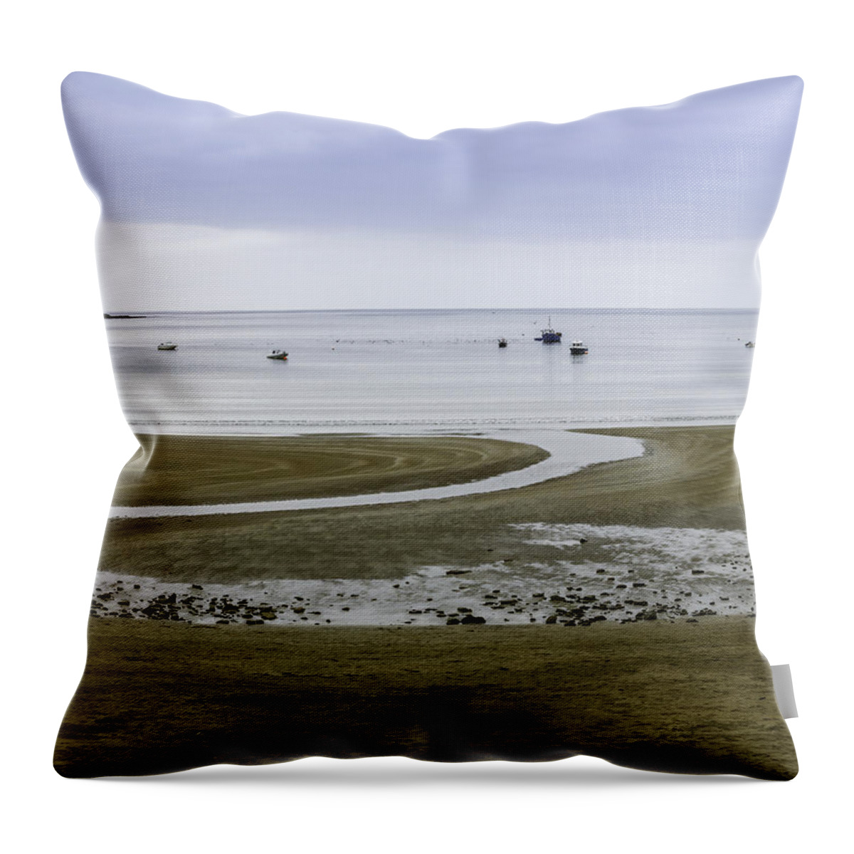 Beauty In Nature Throw Pillow featuring the photograph Horseshoe Bay #1 by Sean O'Cairde