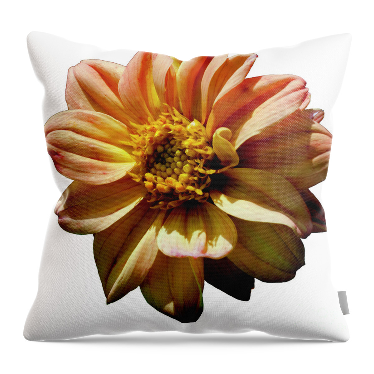 Dahlia Throw Pillow featuring the photograph Lively by Doug Norkum