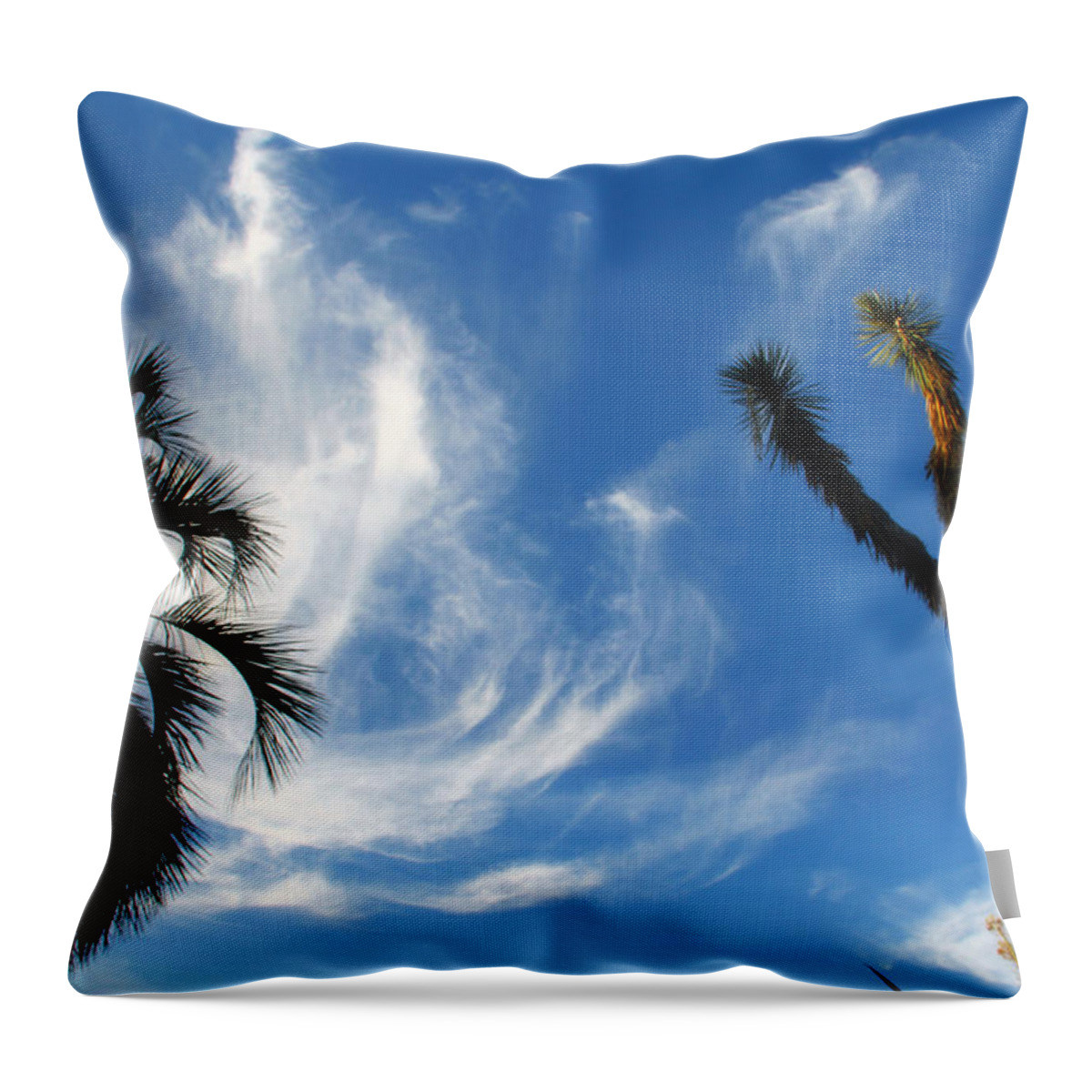 Los Angeles Throw Pillow featuring the photograph @Huntington Gardens Los Angeles #1 by Jim McCullaugh