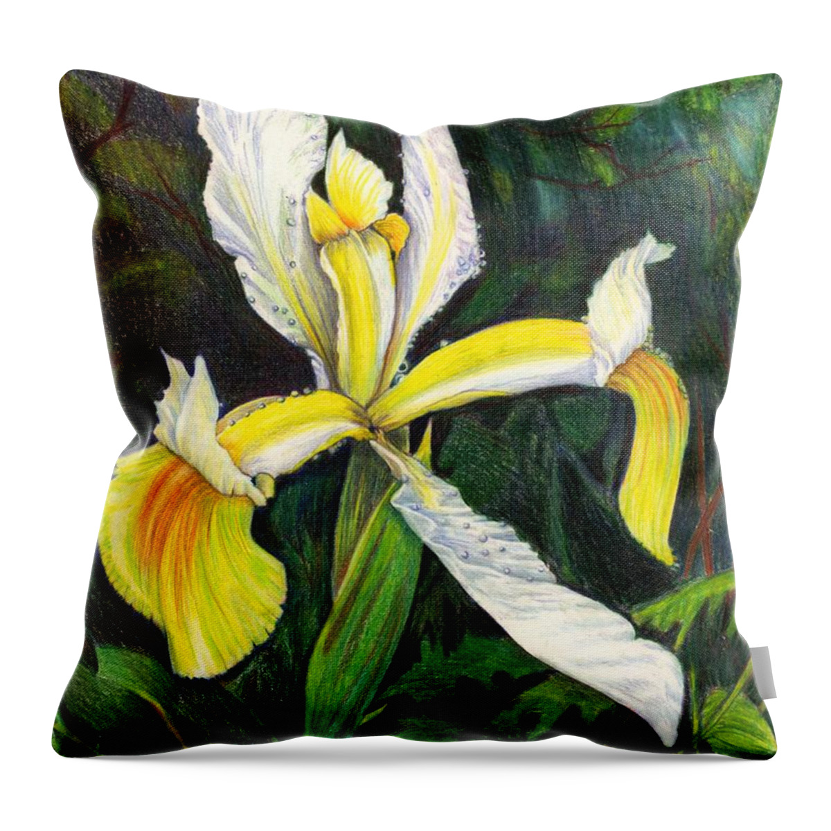 Yellow Iris Throw Pillow featuring the drawing I Rise To Thee by Nancy Cupp