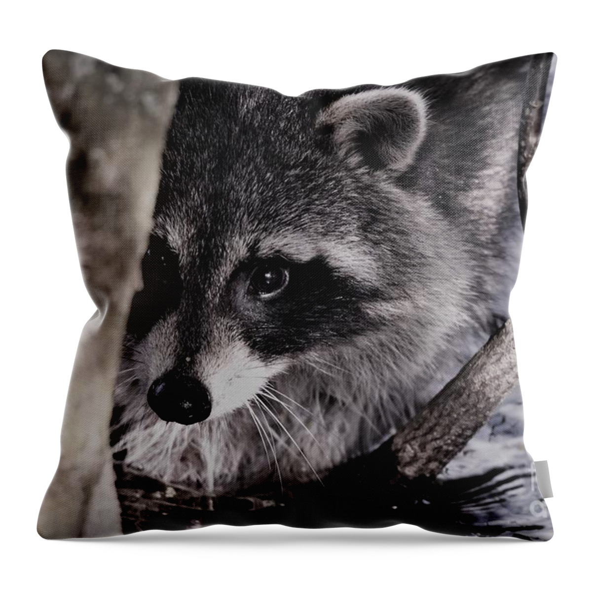Raccoon Throw Pillow featuring the photograph I See You #1 by Julie Adair