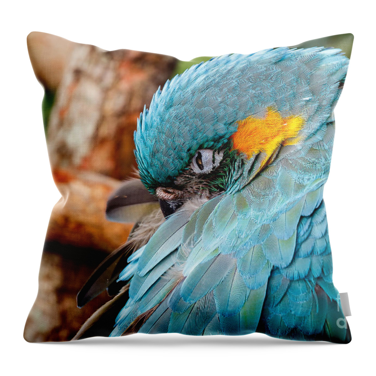 Parrot Throw Pillow featuring the photograph I see you #1 by Les Greenwood