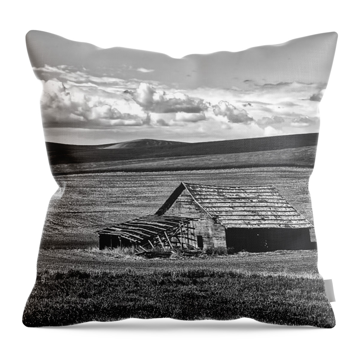 Idaho Throw Pillow featuring the photograph Idaho Barn #1 by Mountain Dreams