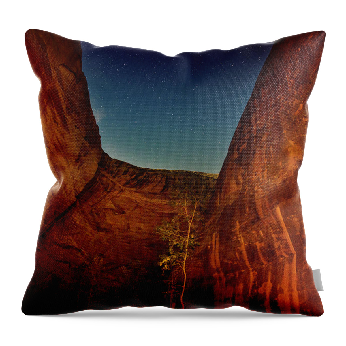 Coyote Gulch Throw Pillow featuring the photograph In the company of giants #1 by Kunal Mehra