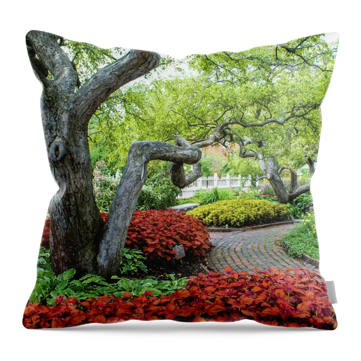 Garden Throw Pillow featuring the photograph In the Garden #1 by Lois Lepisto