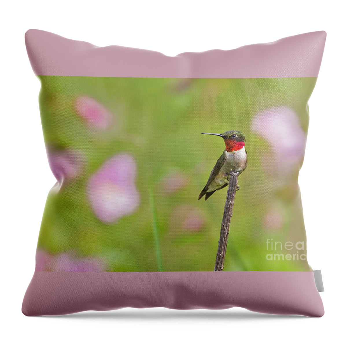 In The Pink Throw Pillow featuring the photograph In the Pink #1 by Gary Holmes