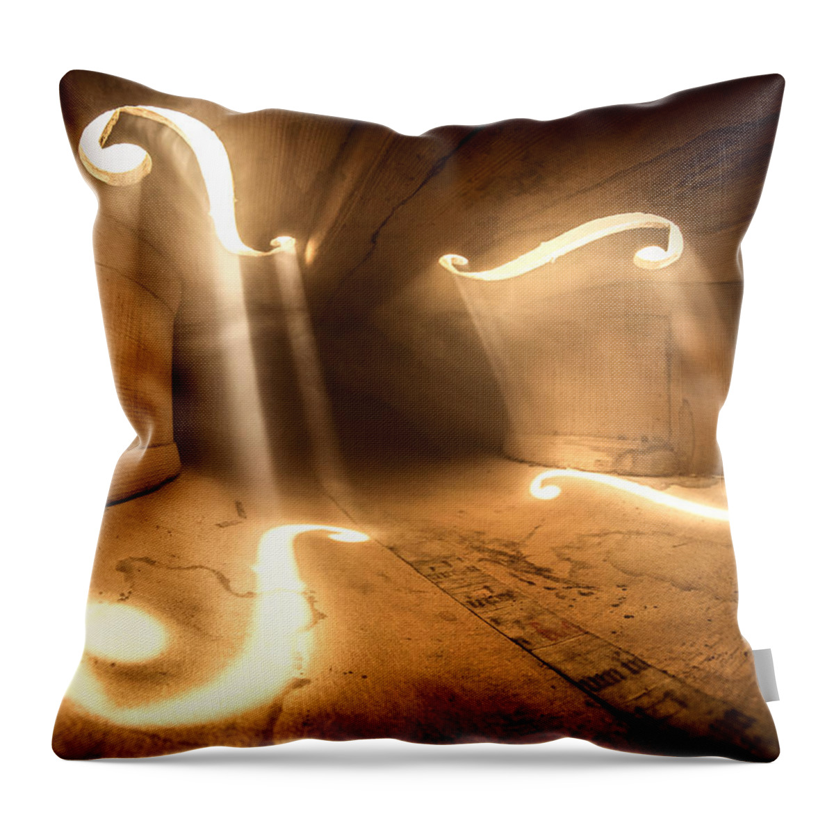 Violin Throw Pillow featuring the photograph Inside Violin #1 by Adrian Borda
