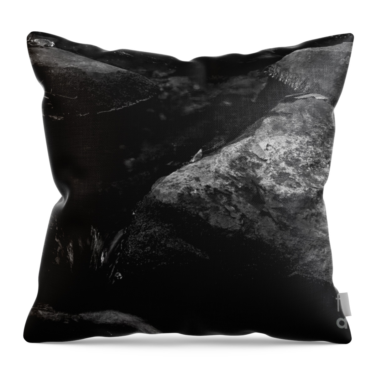 Black And White Throw Pillow featuring the photograph Into the Stream 13 #1 by Jimmy Ostgard