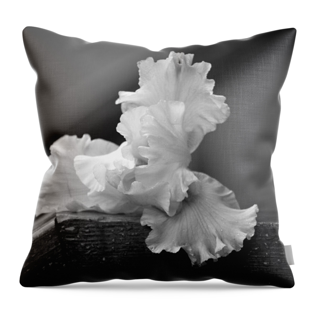 Iris Throw Pillow featuring the photograph Iris #1 by Lila Fisher-Wenzel