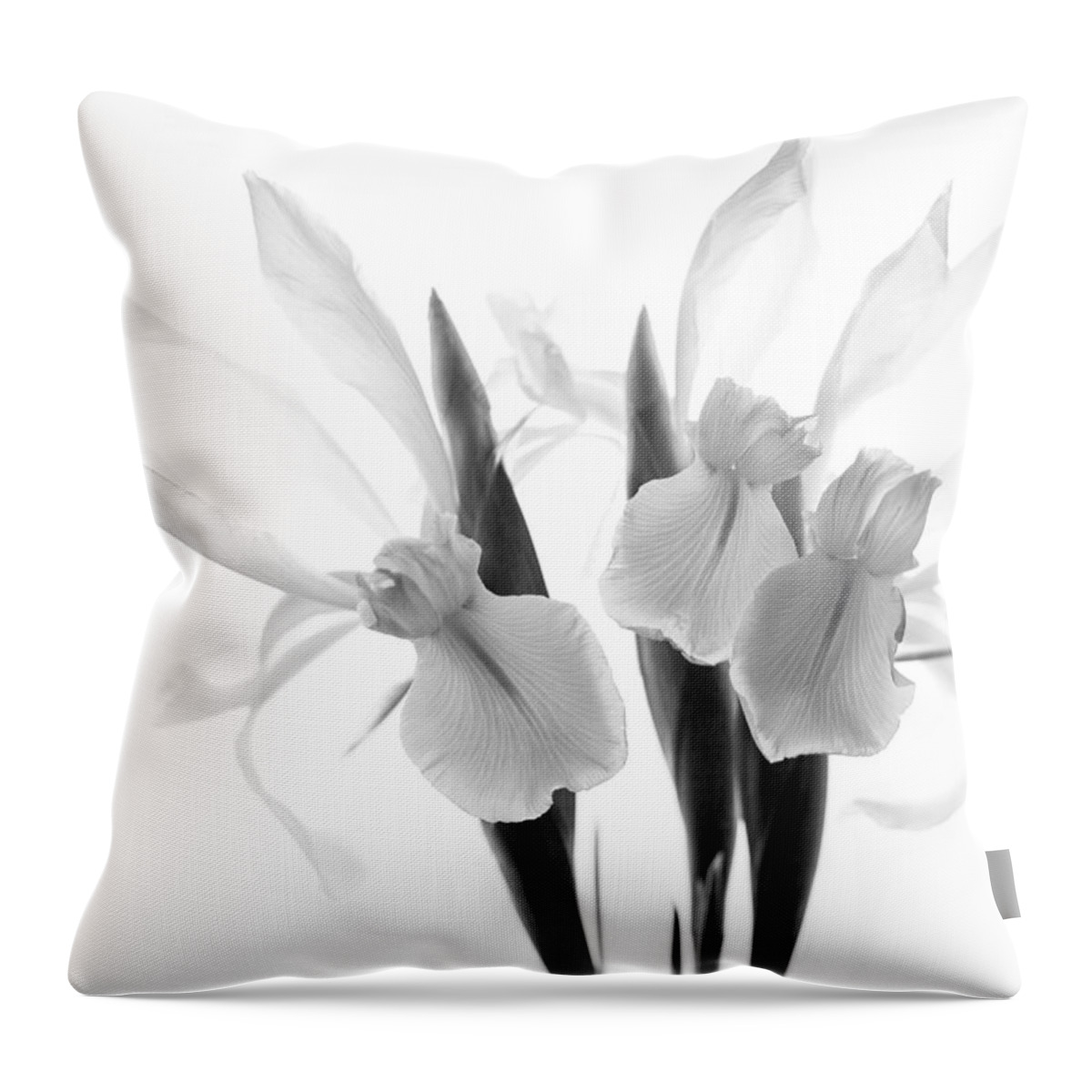 Iris Throw Pillow featuring the photograph Iris Trio Black and White #1 by Rebecca Cozart