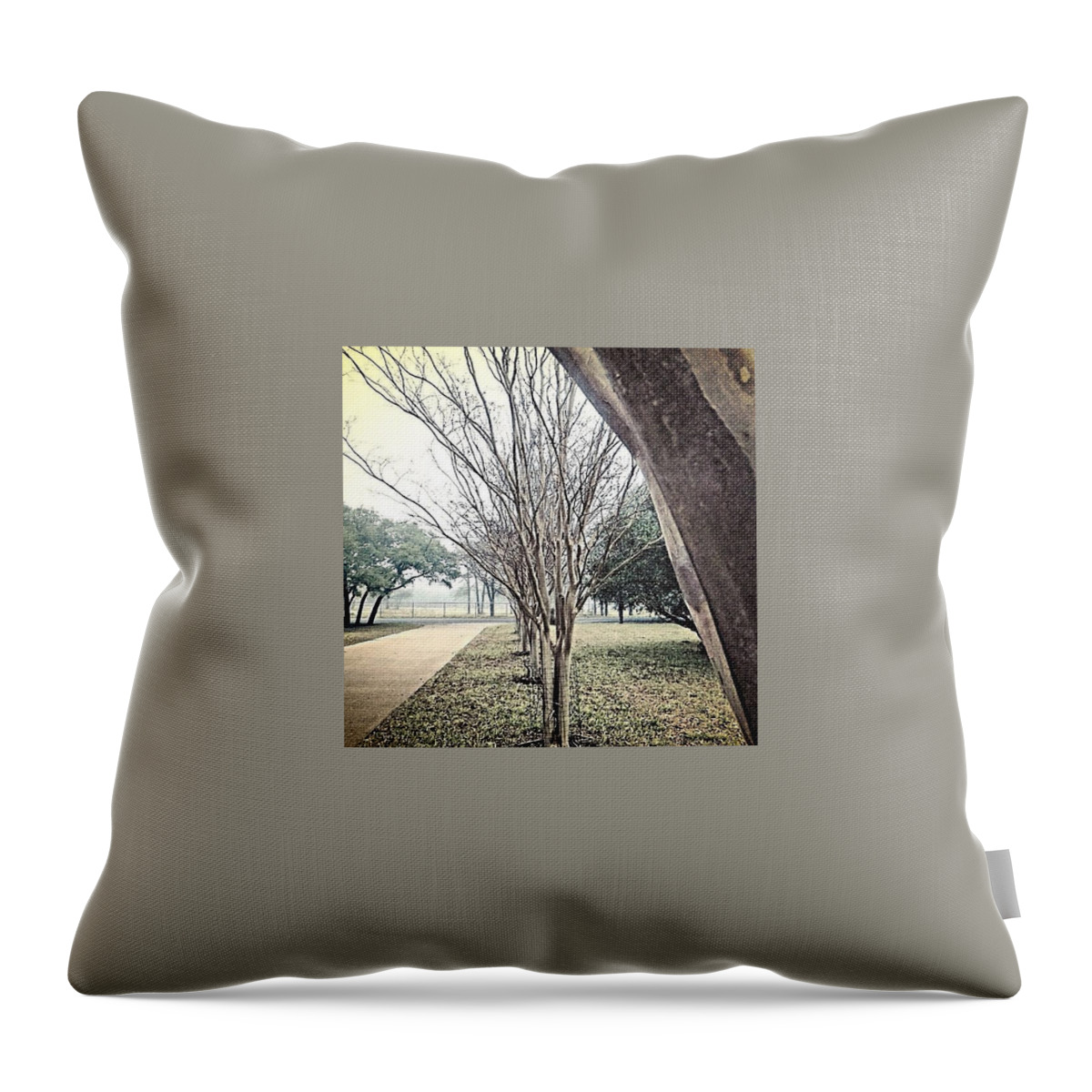 Foggy Throw Pillow featuring the photograph It's #cold, It's #foggy, It's #dark #1 by Austin Tuxedo Cat