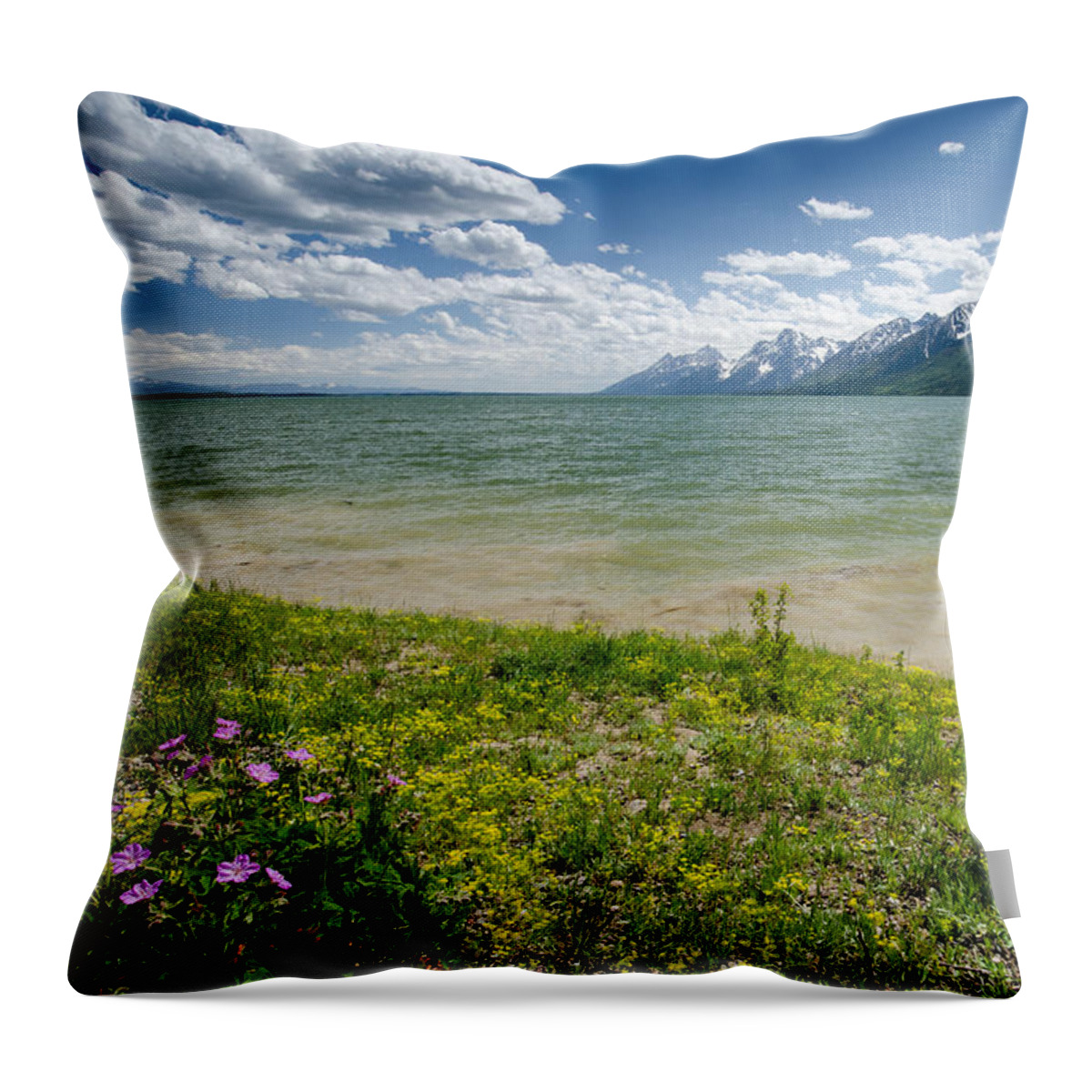 Nature Throw Pillow featuring the photograph Jackson Lake by Crystal Wightman