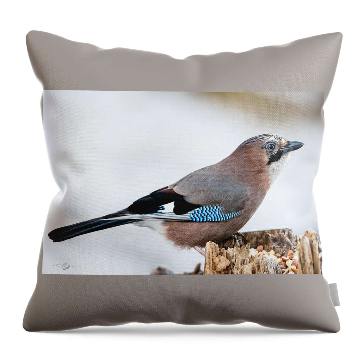 Jay In Profile Throw Pillow featuring the photograph JAY in profile #2 by Torbjorn Swenelius