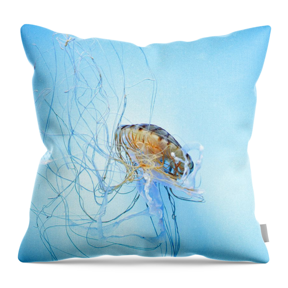 Pacific Sea Nettle Throw Pillow featuring the photograph Jellyfish #1 by Marianna Mills
