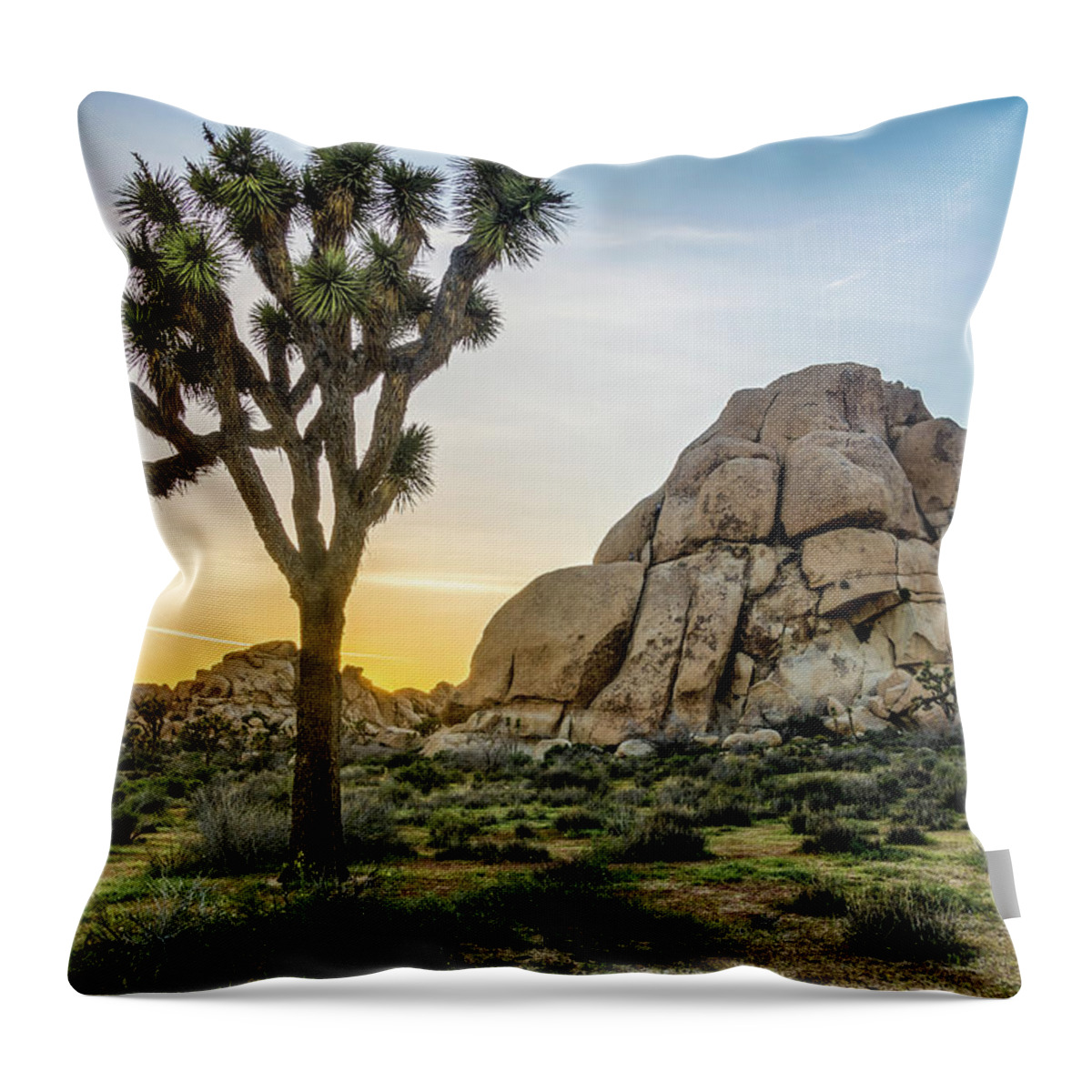 California Throw Pillow featuring the photograph Joshua Tree at Sunset 2 #1 by Donald Pash