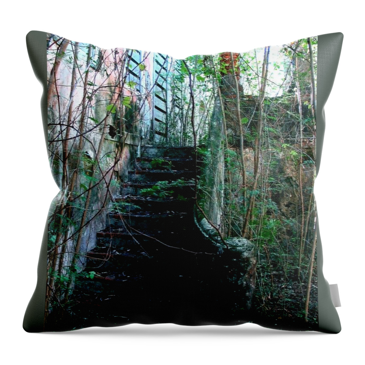 House Throw Pillow featuring the photograph Jungle House by Robert Nickologianis