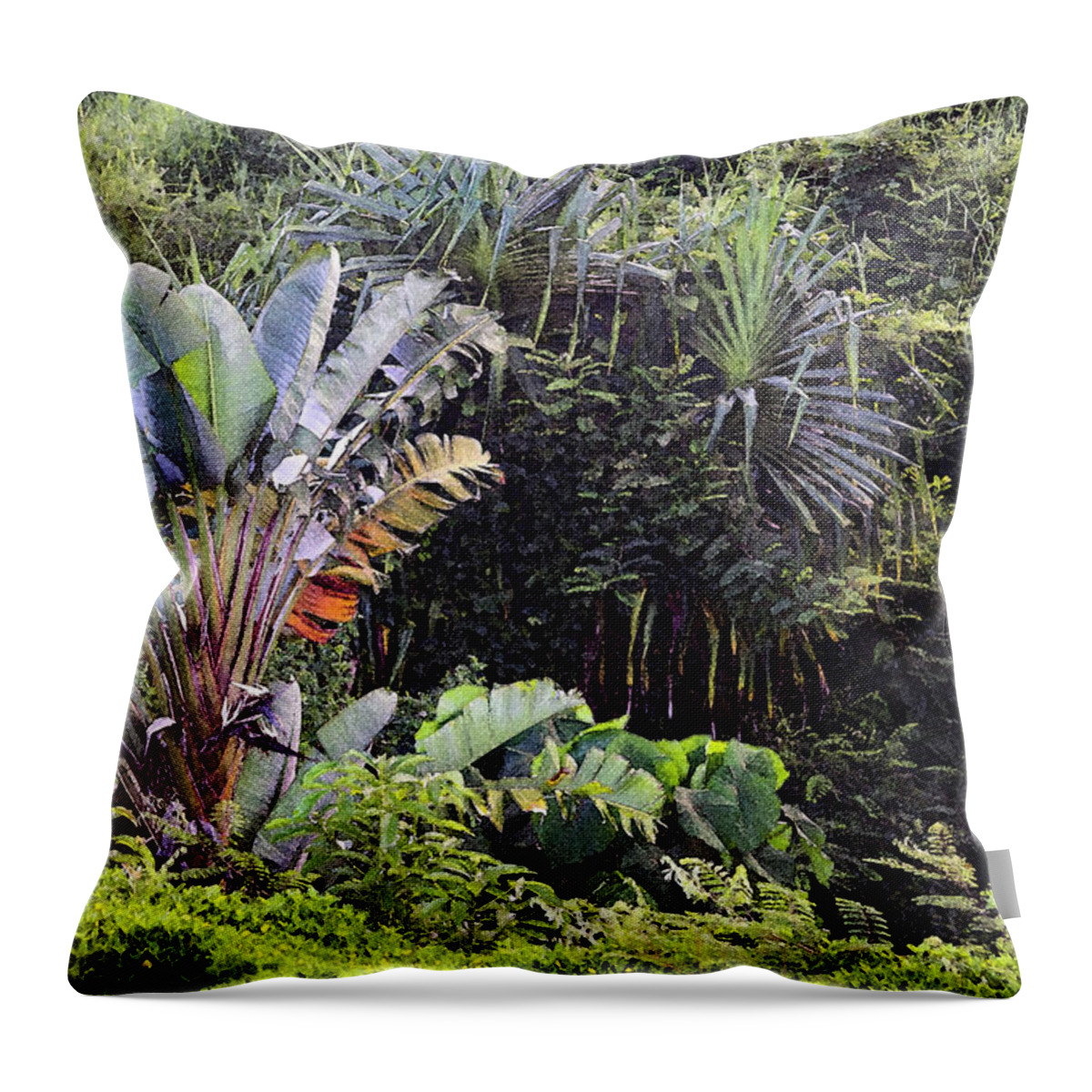 Kauai Jungle Throw Pillow featuring the photograph Kauai Jungle #1 by Frank Wilson